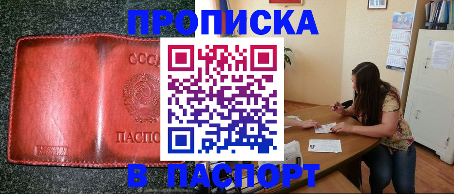 прописка поиск в Вологде